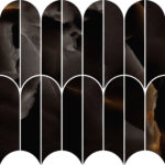 marazzi allmarble mpax.jpg