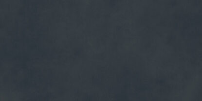 marazzi poster mcsu.jpg