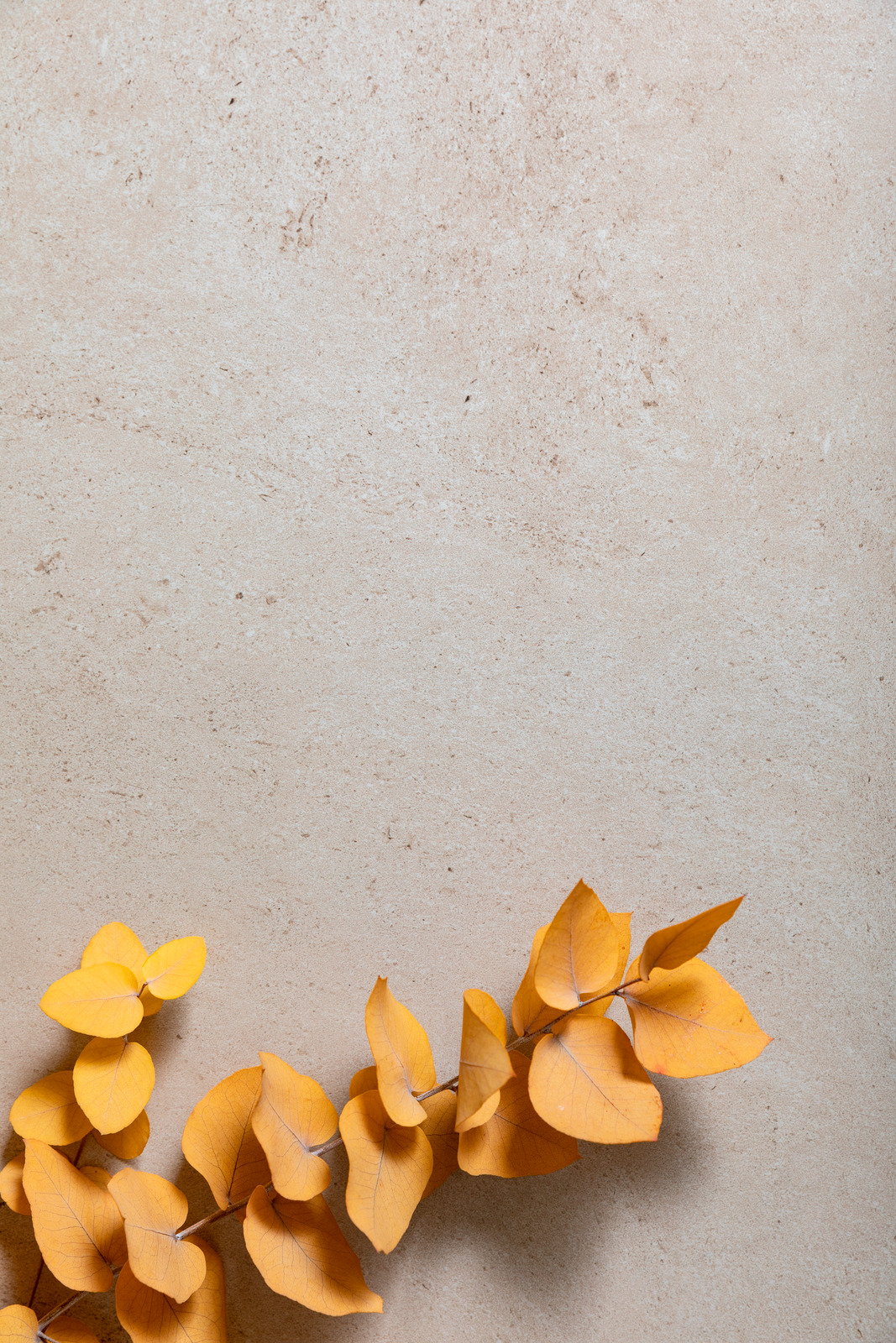 marazzi stonework 004.jpg