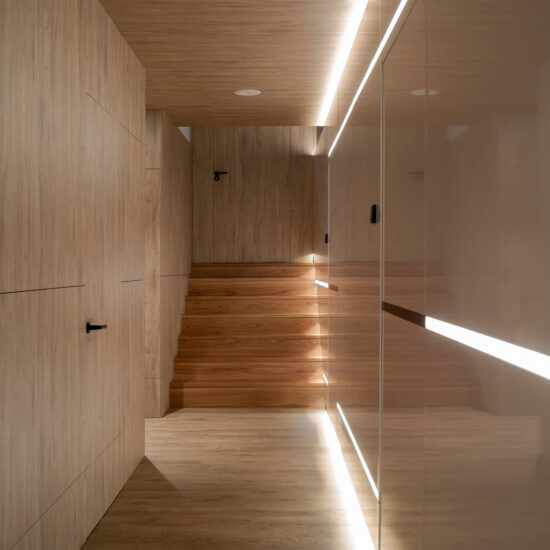 marazzi clinica dental anatomia 007.jpg