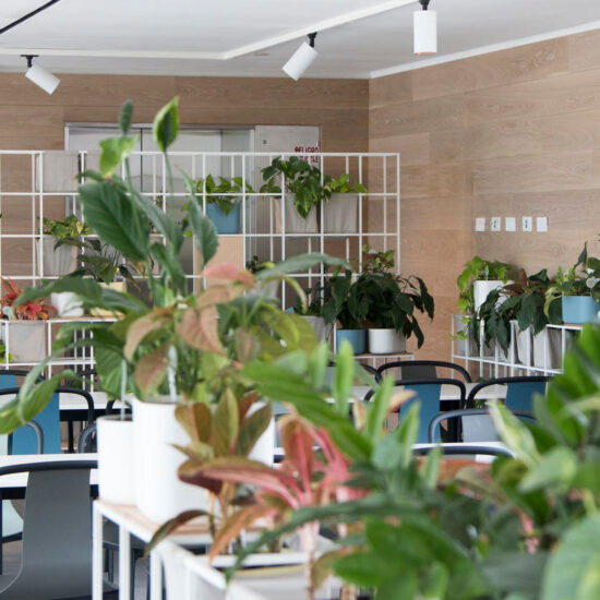 marazzi mallol design house 014.jpg