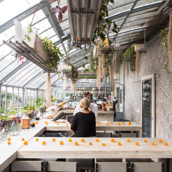 marazzi serre dei giardini margherita 011.jpg